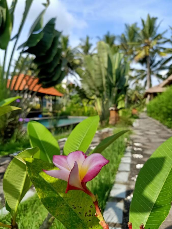 Taman Bintang Villa Ubud Exterior photo