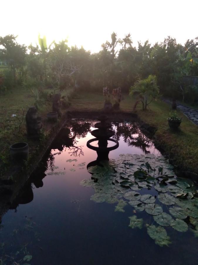 Taman Bintang Villa Ubud Exterior photo