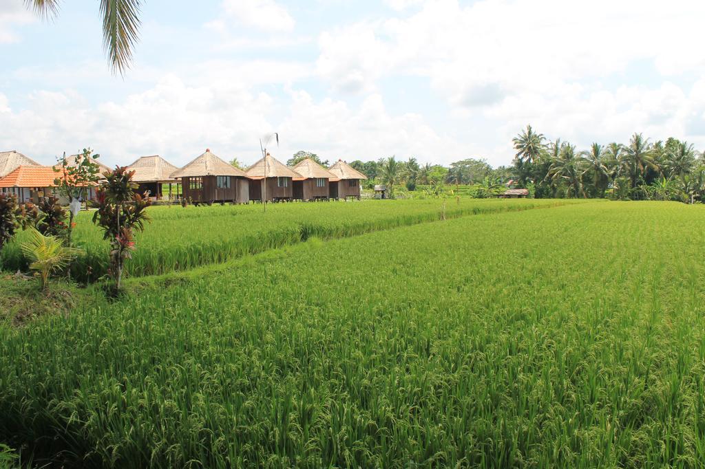 Taman Bintang Villa Ubud Exterior photo